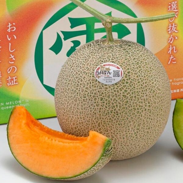 JAきょうわ らいでんメロン（赤肉）2玉
